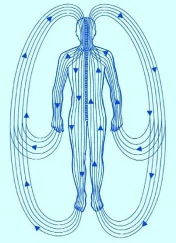 Polarity therapy diagram